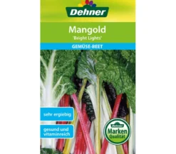 Dehner Samen Mangold 'Bright Lights'