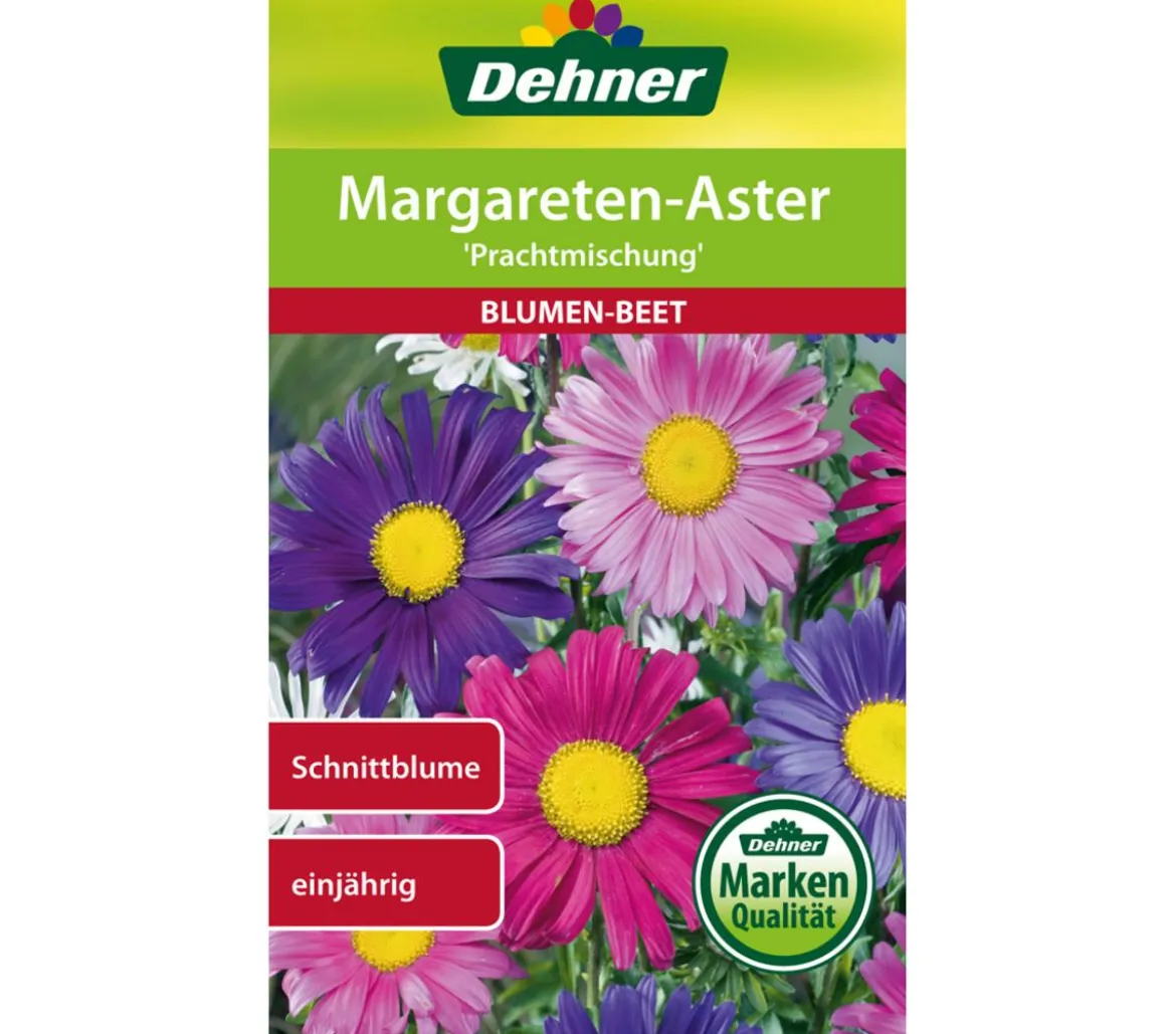 Dehner Samen Margareten-Aster 'Prachtmischung'