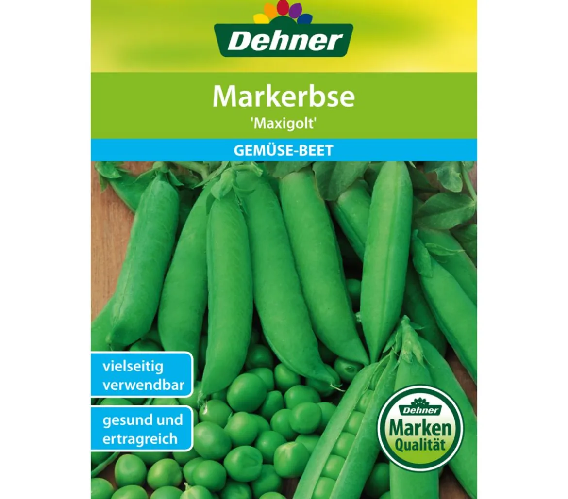 Dehner Samen Markerbse 'Maxigolt'
