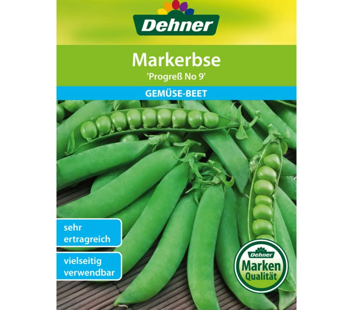 Dehner Samen Markerbse 'Progreß No 9'