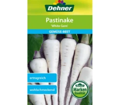 Dehner Samen Pastinake 'White Gem'