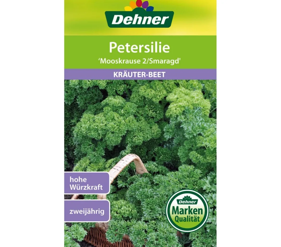 Dehner Samen Petersilie 'Mooskrause 2/Smaragd'
