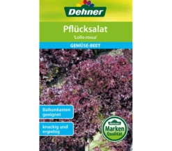 Dehner Samen Pflücksalat 'Lollo rossa'