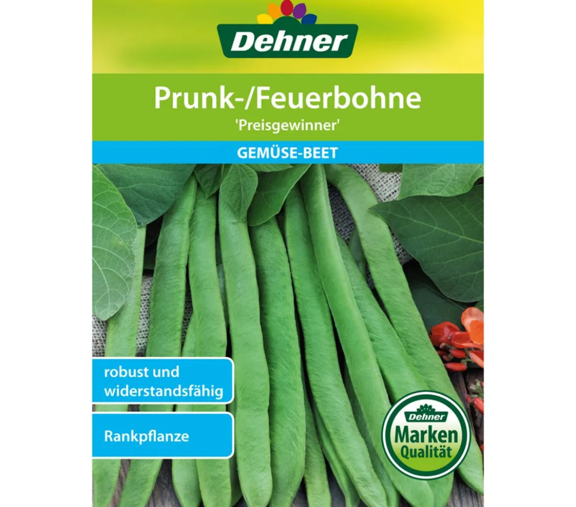 Dehner Samen Prunk-/Feuerbohne 'Preisgewinner'
