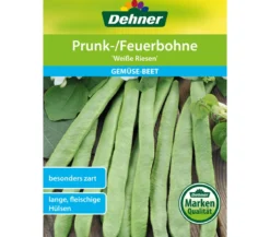Dehner Samen Prunk-/Feuerbohne 'Weiße Riesen'