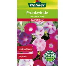 Dehner Samen Prunkwinde 'Prachtmischung'