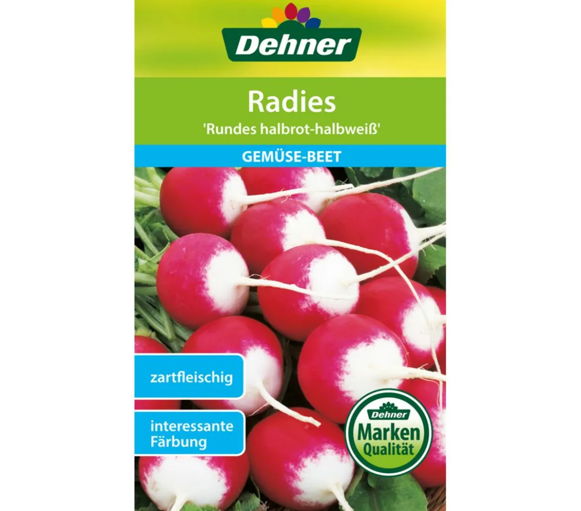 Dehner Samen Radies 'Rundes halbrot-halbweiß'
