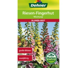 Dehner Samen Riesen-Fingerhut 'Mischung'