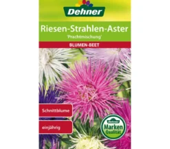 Dehner Samen Riesen-Strahlen-Aster 'Prachtmischung'