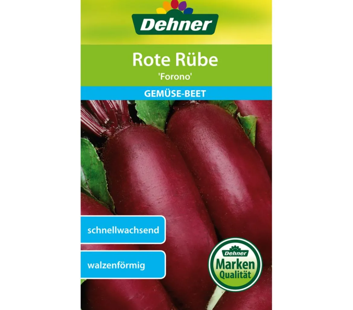Dehner Samen Rote Rübe 'Forono'