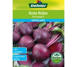 Dehner Samen Rote Rübe 'Rote Kugel 2'