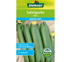 Dehner Samen Salatgurke 'Bella'