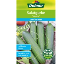 Dehner Samen Salatgurke 'Moneta'