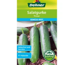 Dehner Samen Salatgurken 'Printo'