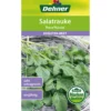 Dehner Samen Salatrauke 'Ruca/Rucola'