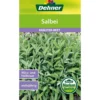 Dehner Samen Salbei