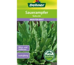 Dehner Samen Sauerampfer 'Belleville'