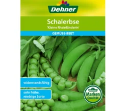 Dehner Samen Schalerbse 'Kleine Rheinländerin'
