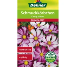 Dehner Samen Schmuckkörbchen 'Candy Stripes'
