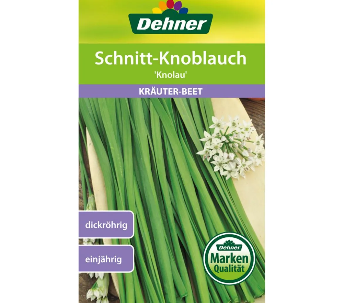 Dehner Samen Schnittknoblauch 'Knolau'