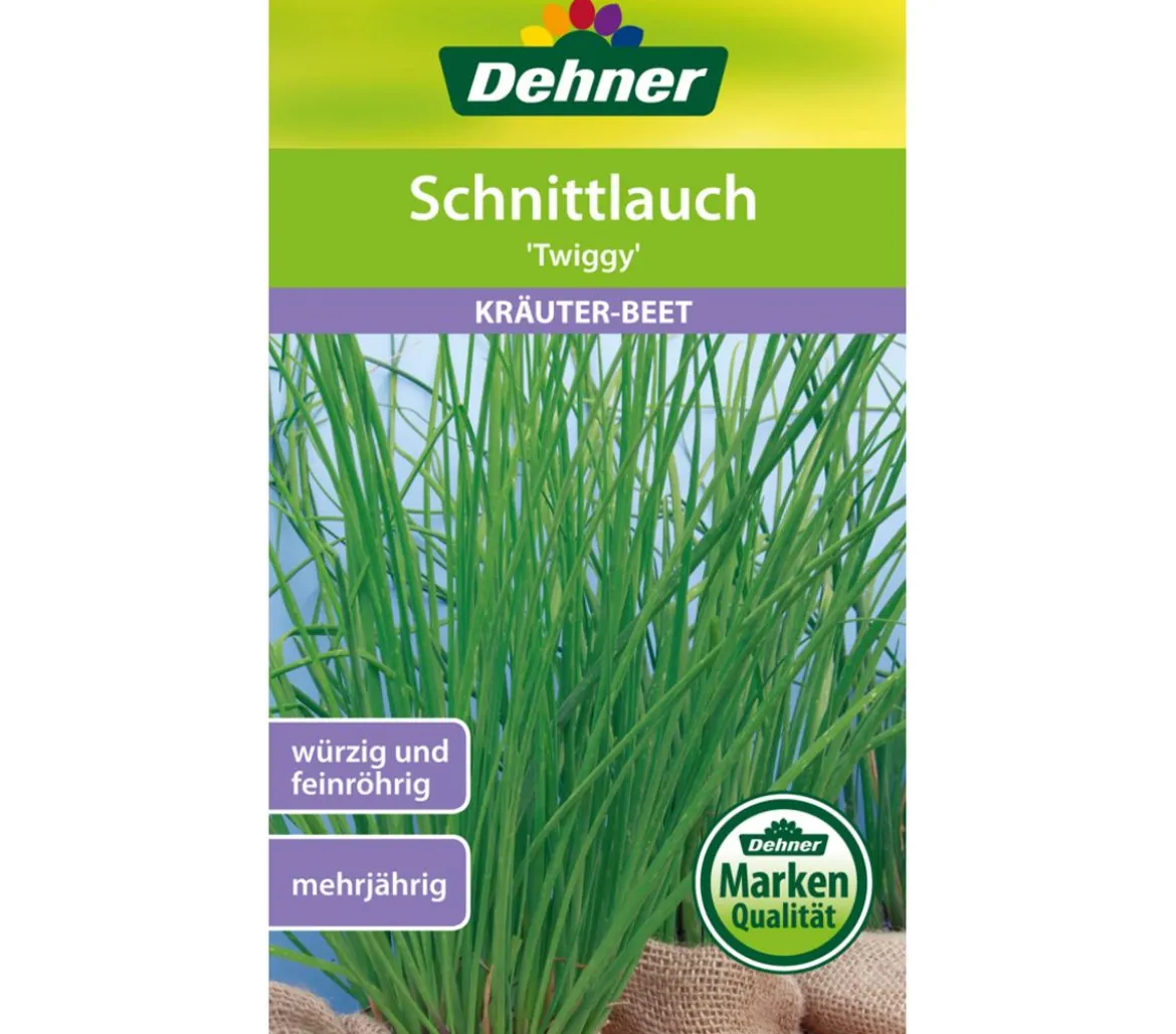 Dehner Samen Schnittlauch 'Twiggy'