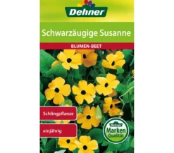 Dehner Samen Schwarzäugige 'Susanne'