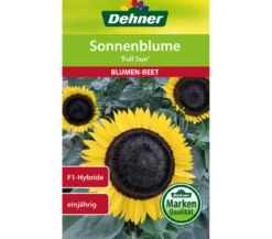 Dehner Samen Sonnenblume 'Full Sun'