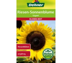 Dehner Samen Sonnenblume 'Gigant'