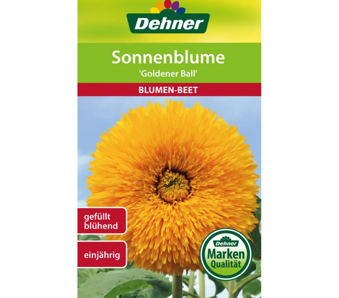 Dehner Samen Sonnenblume 'Goldener Ball'