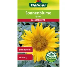 Dehner Samen Sonnenblume 'Quarz'