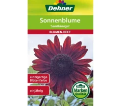 Dehner Samen Sonnenblume 'Samtkönigin'