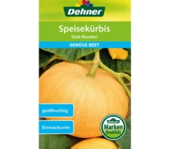 Dehner Samen Speisekürbis 'Gele Reuzen'