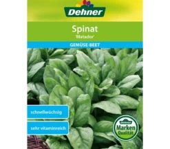 Dehner Samen Spinat 'Matador'