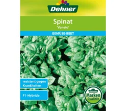 Dehner Samen 'Spinat Veneto'