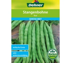 Dehner Samen Stangenbohne 'Eva'