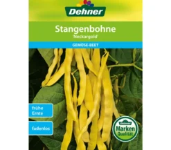 Dehner Samen Stangenbohnen 'Neckargold'