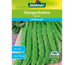 Dehner Samen Stangenbohne 'Tamara'