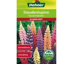 Dehner Samen Staudenlupine 'Russels Hybriden'