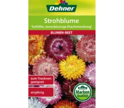 Dehner Samen Strohblume 'Gefüllte, riesenblumige Prachtmischung'