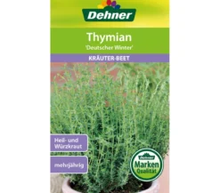 Dehner Samen Thymian 'Deutscher Winter'
