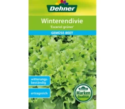 Dehner Samen Winterendivie 'Escariol grüner'