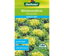 Dehner Samen Winterendivie 'Nummer Vijf 2'
