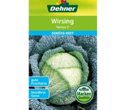 Dehner Samen Wirsing 'Vertus 2'