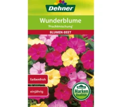 Dehner Samen Wunderblume 'Prachtmischung'