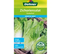 Dehner Samen Zichoriensalat 'Zuckerhut'