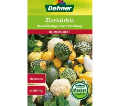 Dehner Samen Zierkürbis 'Kleinfrüchtige Prachtmischung'