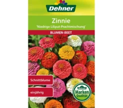 Dehner Samen Zinnie 'Niedrige Liliput Prachtmischung'