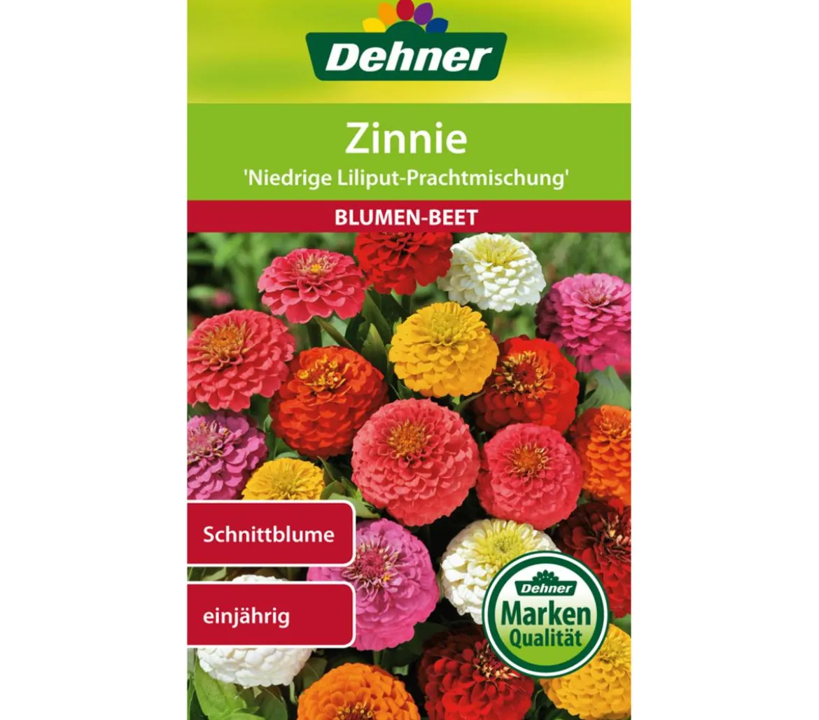 Dehner Samen Zinnie 'Niedrige Liliput Prachtmischung'