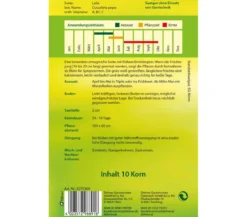 Dehner Samen Zucchini 'Leila'