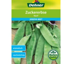 Dehner Samen Zuckererbsen 'Norli'
